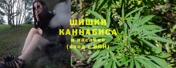 соль ск Ладушкин
