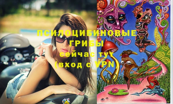 МДМА Краснослободск