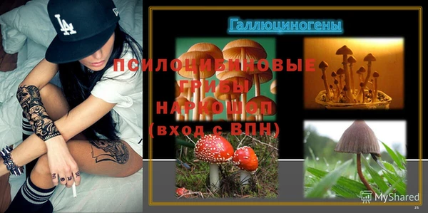 амф Лабытнанги