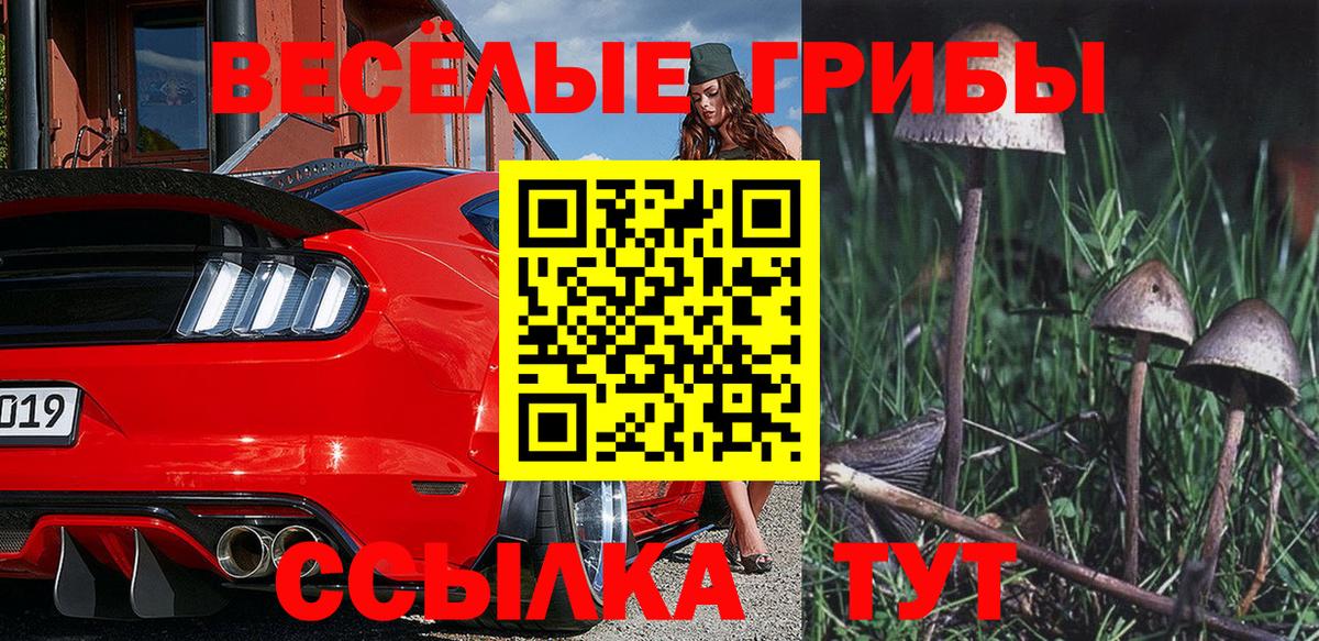 сколько стоит  Вход с VPN  Ржев  Галлюциногенные грибы мицелий 