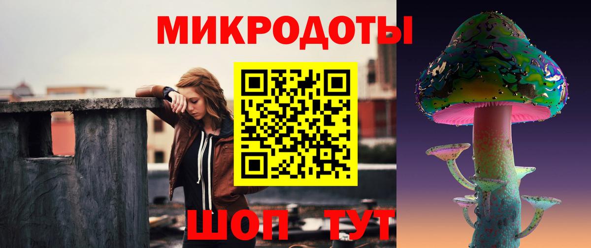 Псилоцибиновые грибы Psilocybe Ржев