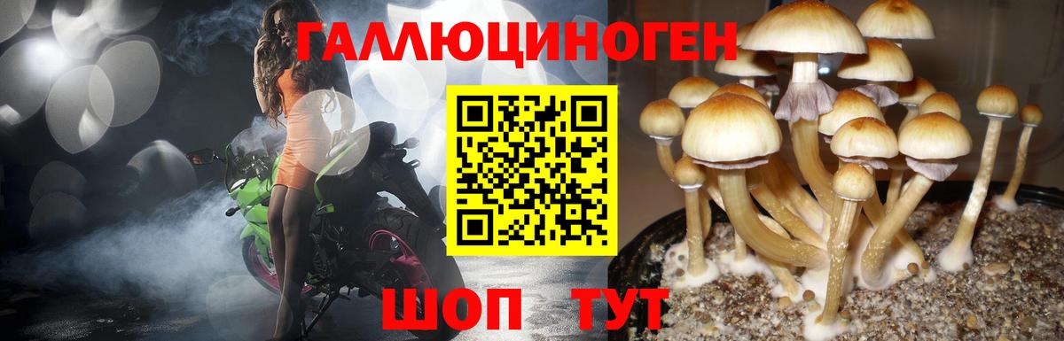 ГАШ Ржев